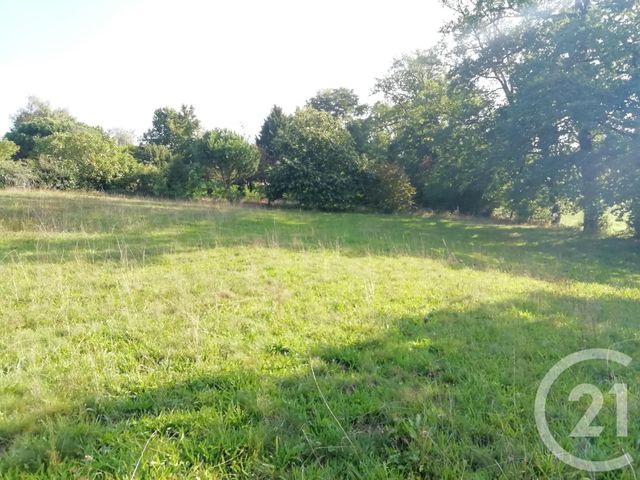 Afficher la photo en grand terrain à vendre - 5000.0 m2 - DONZENAC - 19 - LIMOUSIN - Century 21 Jaubert Et Regaudie