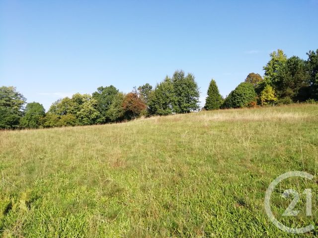 Afficher la photo en grand terrain à vendre - 2500.0 m2 - DONZENAC - 19 - LIMOUSIN - Century 21 Jaubert Et Regaudie