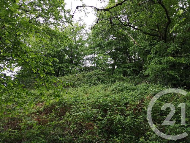 Afficher la photo en grand terrain à vendre - 1726.0 m2 - NAVES - 19 - LIMOUSIN - Century 21 Jaubert Et Regaudie