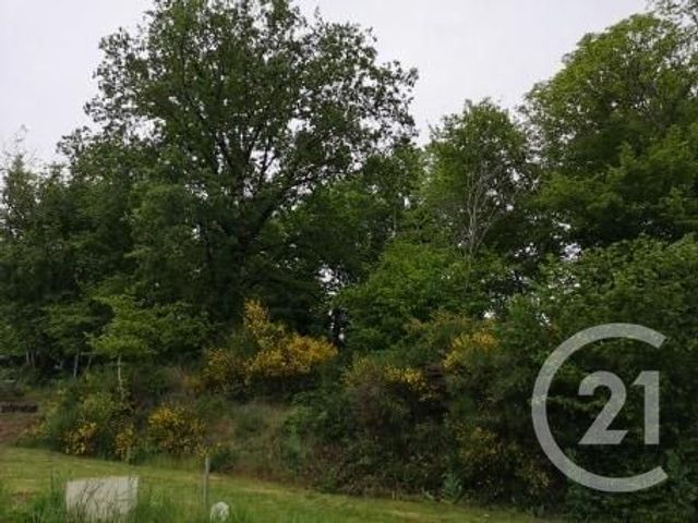 Afficher la photo en grand terrain à vendre - 1726.0 m2 - NAVES - 19 - LIMOUSIN - Century 21 Jaubert Et Regaudie