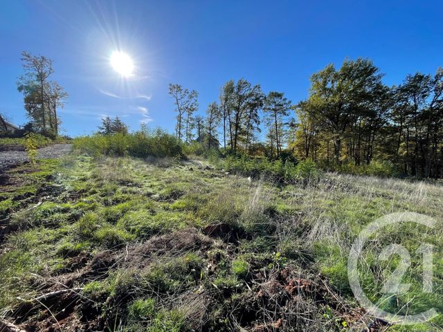 terrain à vendre - 2634.0 m2 - MALEMORT - 19 - LIMOUSIN - Century 21 Jaubert Et Regaudie