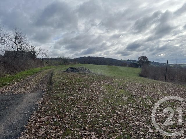 terrain à vendre - 3650.0 m2 - ALLASSAC - 19 - LIMOUSIN - Century 21 Jaubert Et Regaudie