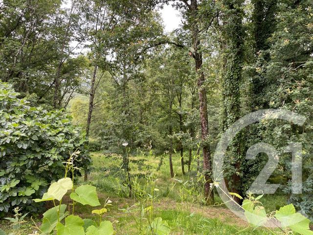 maison à vendre - 4 pièces - 147.0 m2 - BRIGNAC LA PLAINE - 19 - LIMOUSIN - Century 21 Jaubert Et Regaudie